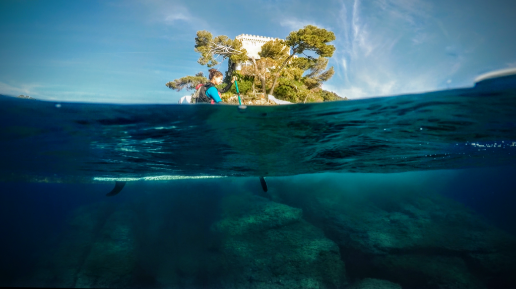 stand up paddle