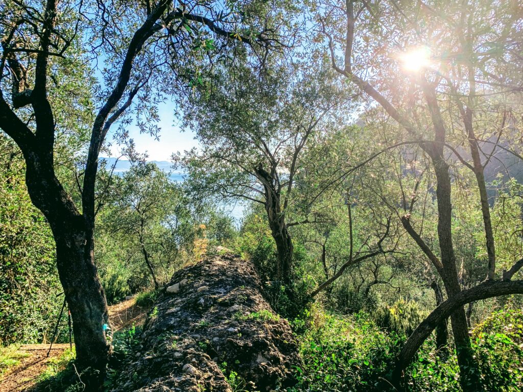 Parco Portofino Vegetazione