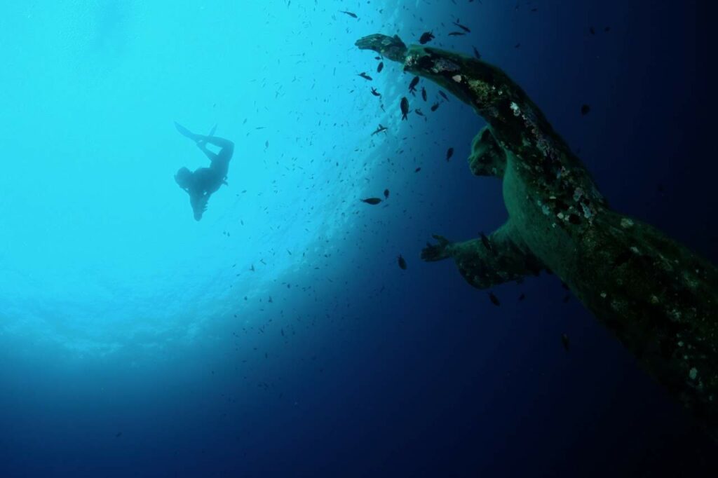 Snorkeling al Cristo degli Abissi - San Fruttuoso