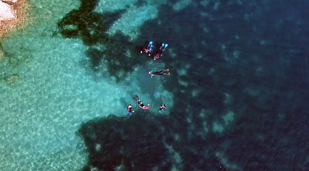 Snorkeling Portofino