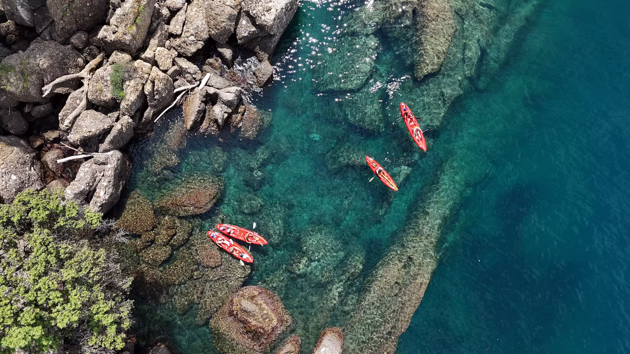 Kayak