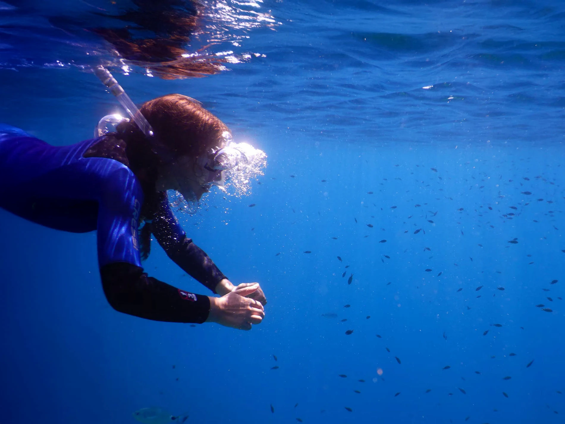 Snorkeling