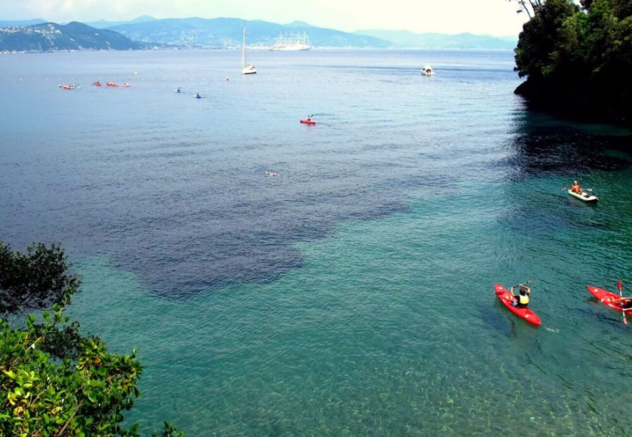 kayak tour portofino