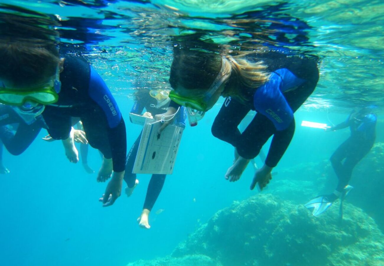Impariamo il mare_laboratorio e snorkeling per bambini