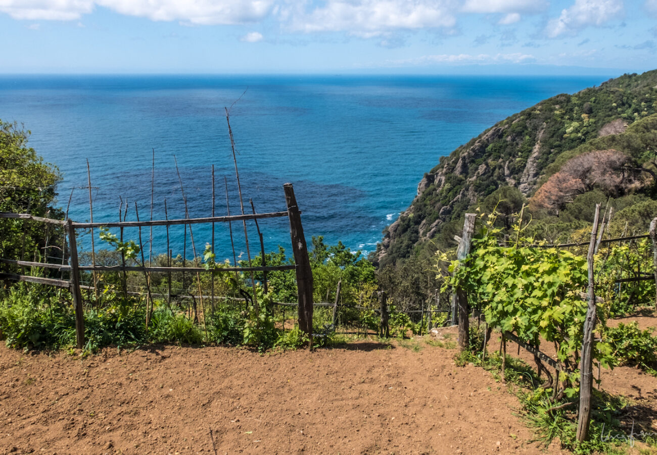 vista panoramica dal parco di portofino