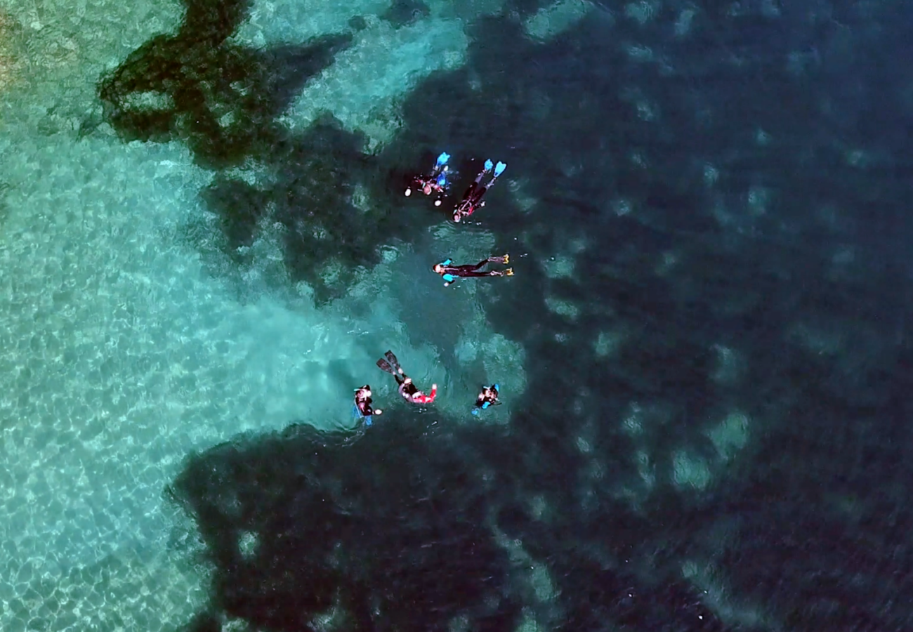 Fare Snorkeling