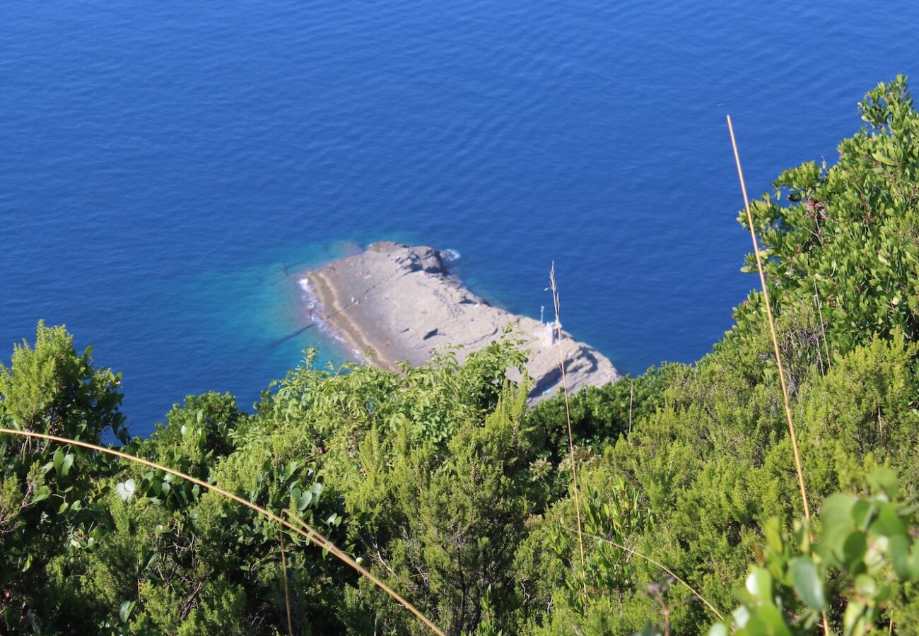 Vista su Punta Chiappa durante un trekking sul. monte di Portofino