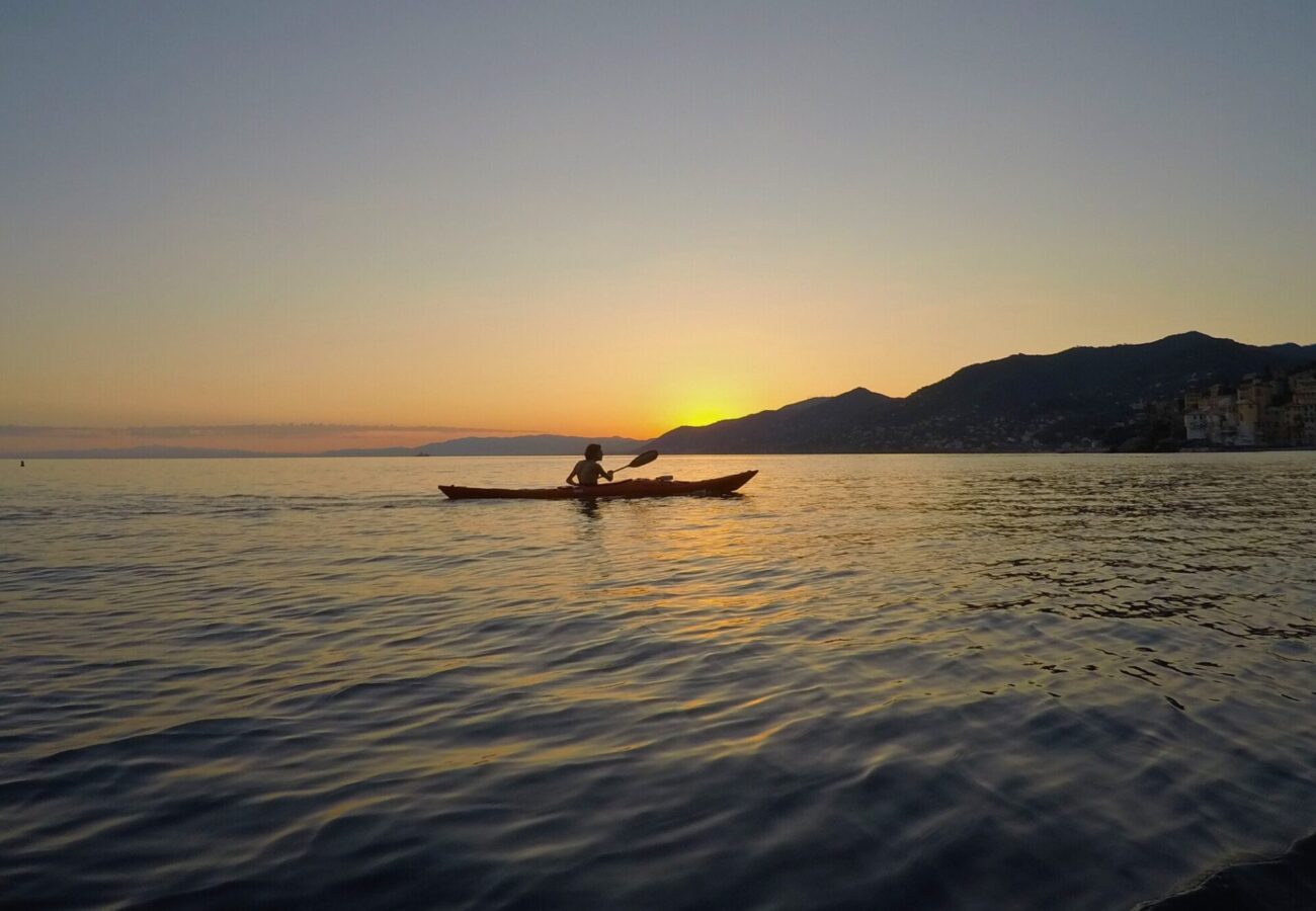 sunset kayak tour