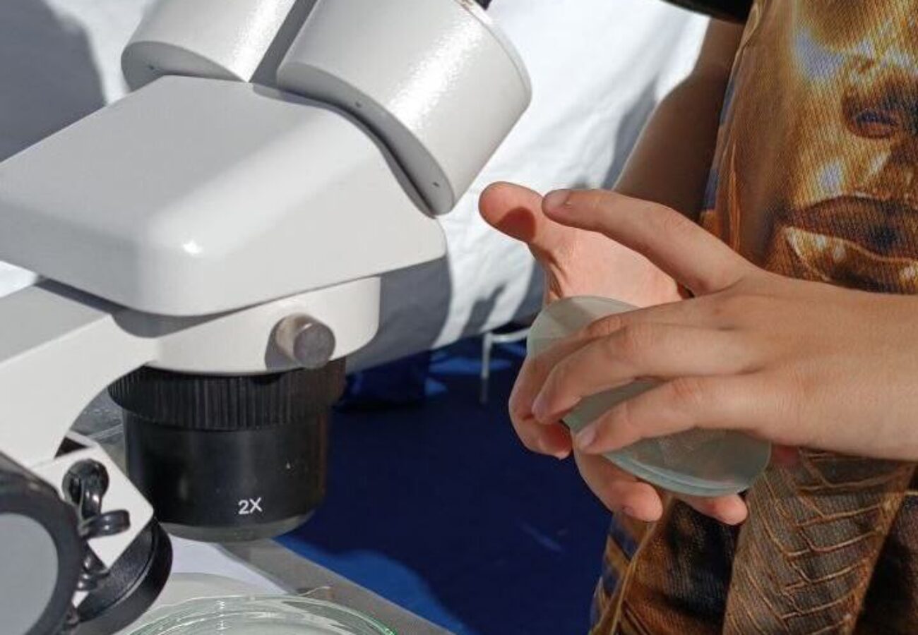 microscopio e analisi_laboratorio micromare_cosa si nasconde in una goccia d'acqua