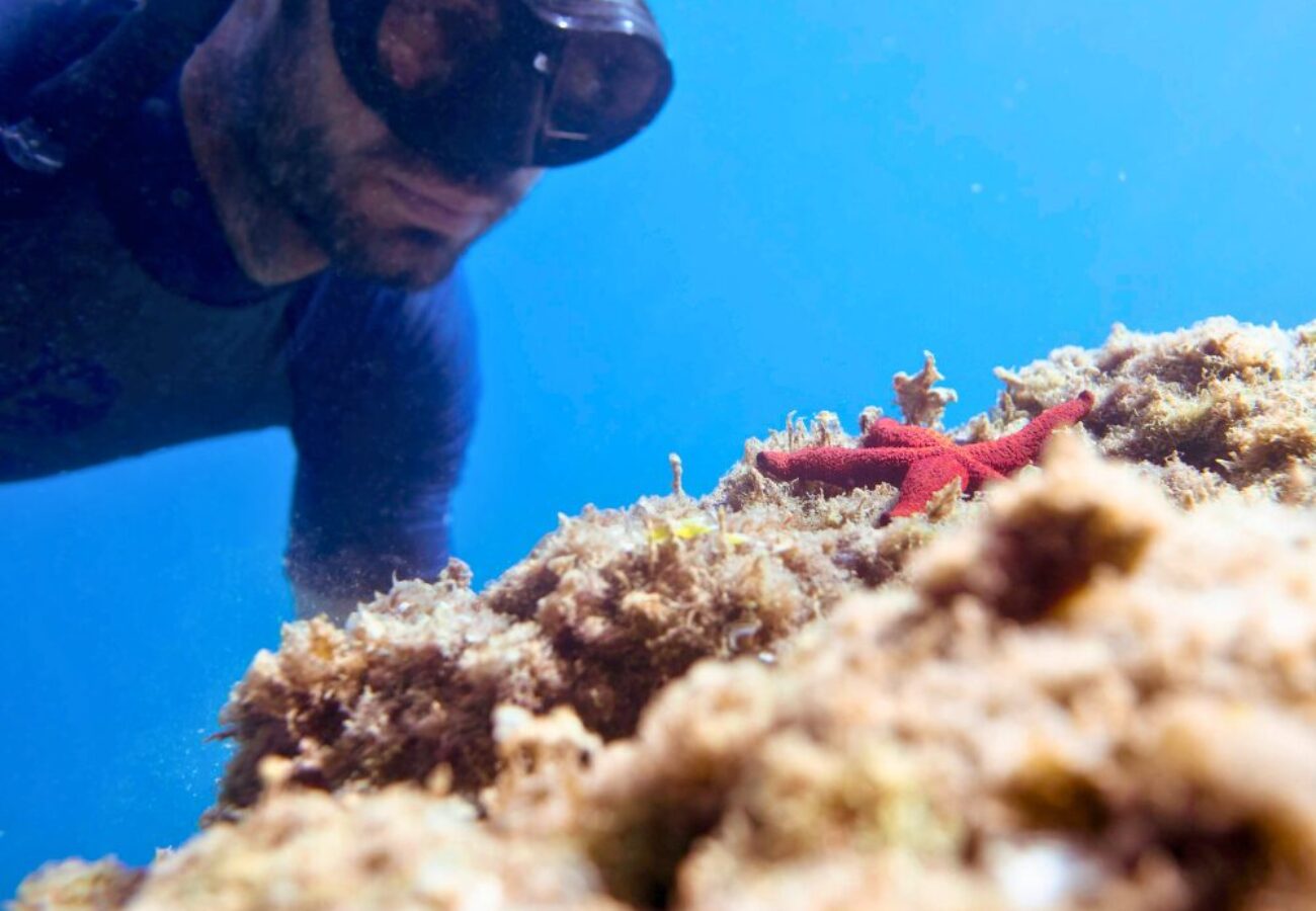snorkeling tour a Manarola