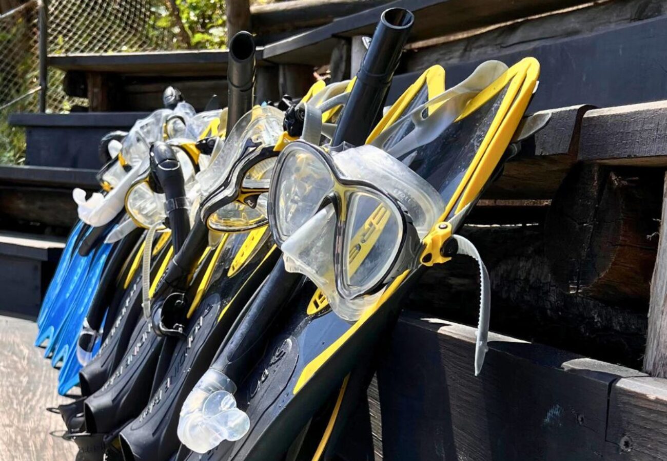 snorkeling tour a Portofino