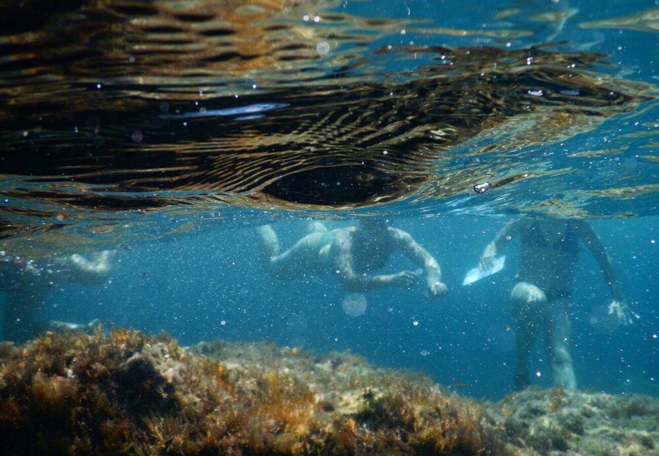 snorkeling a Portofino in gruppo