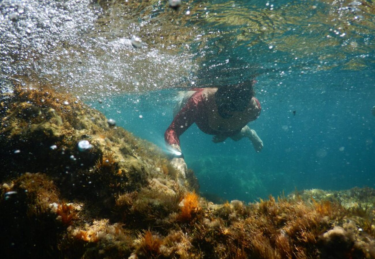 snorkeling tour a Portofino
