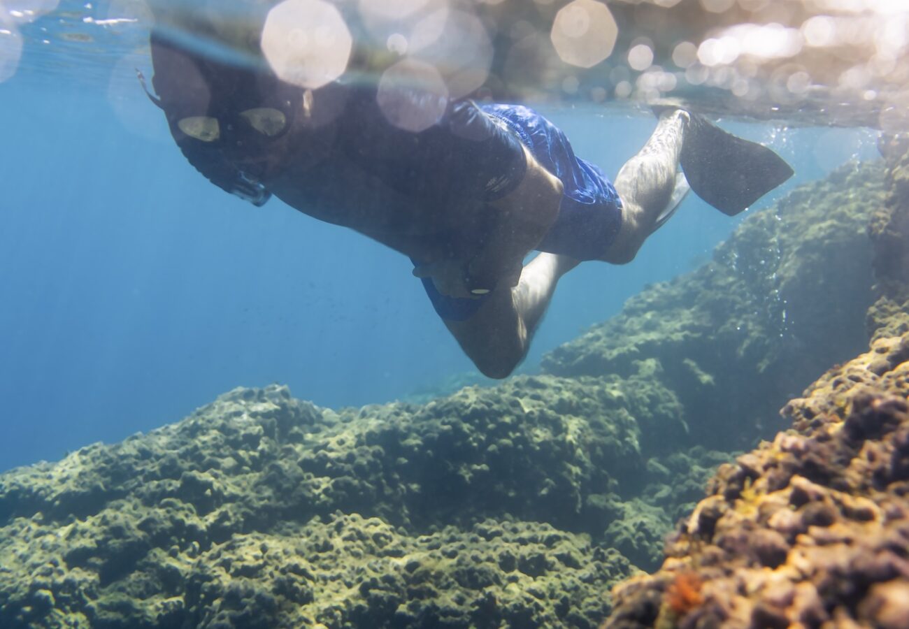 snorkeling tour attività